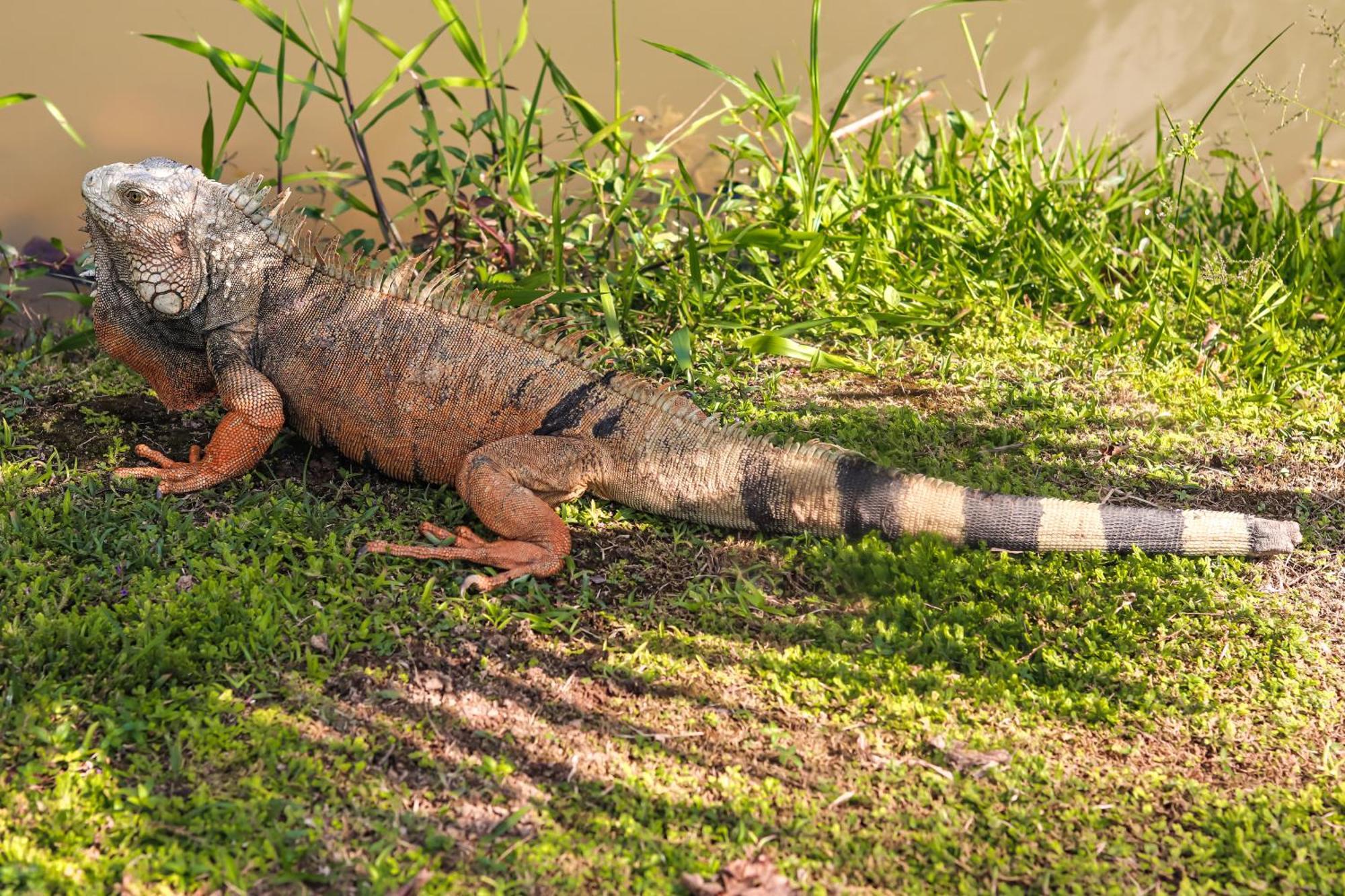 Los Colores Ecoparque Doradal ภายนอก รูปภาพ